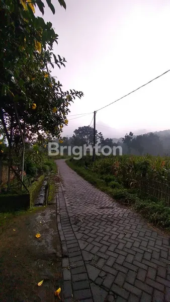 image  VILLA DAN TANAH LOKASI : PACET , MOJOSARI (6)