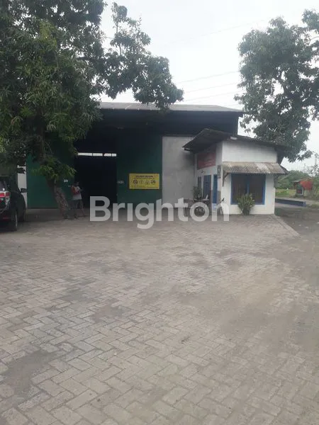 image GUDANG BEJI BANGIL KABUPATEN PASURUAN JAWA TIMUR (3)