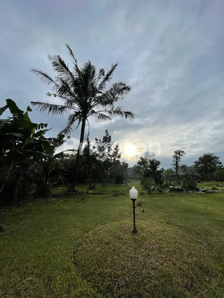 image PONDOK BENDA PAMULANG 2, DIJUAL TANAH SIAP BANGUN  (5)