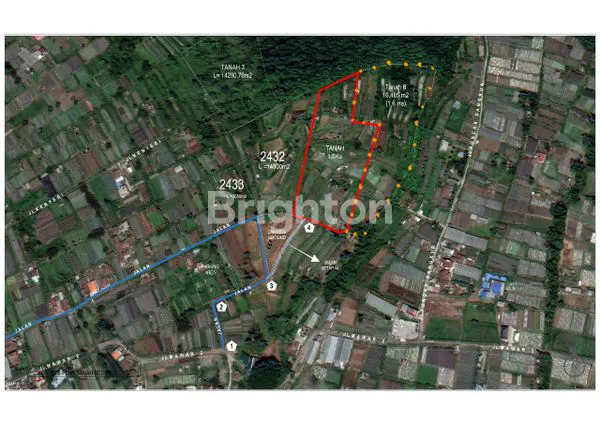 image INVESTASI LANGKA DI CANDI KUNING BEDUGUL BALI- 1,5 HA VIEW SPEKTAKULER! VIEW DANAU & GUNUNG ZONA VILLA & AGROWISATA PREMIUM (8)