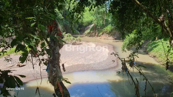 image JUAL TANAH KEBON PINGGIR CAMPUHAN DI DESA KUKUH, KERAMBITAN, TABANAN , BALI (2)
