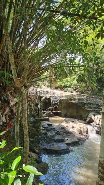 image JUAL TANAH KEBON PINGGIR CAMPUHAN DI DESA KUKUH, KERAMBITAN, TABANAN , BALI (3)