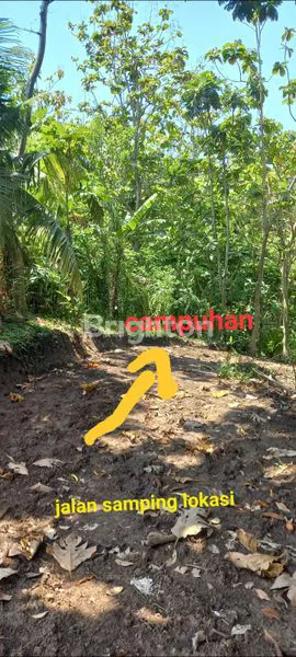 image JUAL TANAH KEBON PINGGIR CAMPUHAN DI DESA KUKUH, KERAMBITAN, TABANAN , BALI (1)