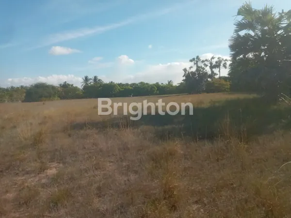 image TANAH DIWAINGAPU - SURGA BELUM JATUH KE BALI… TAPI KE SUMBA TIMUR! (5)