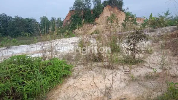 image LAHAN STRATEGIS DI PELABUHAN PETI KEMAS PALARAN (2)