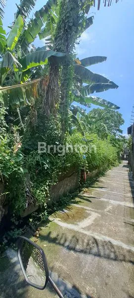 image TANAH PINGGIR JALAN RAYA RADJIMAN (2)