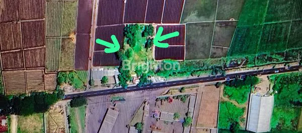 TANAH STRATEGIS DI PINGGIR JALAN RAYA SITUBONDO-KAPONGAN