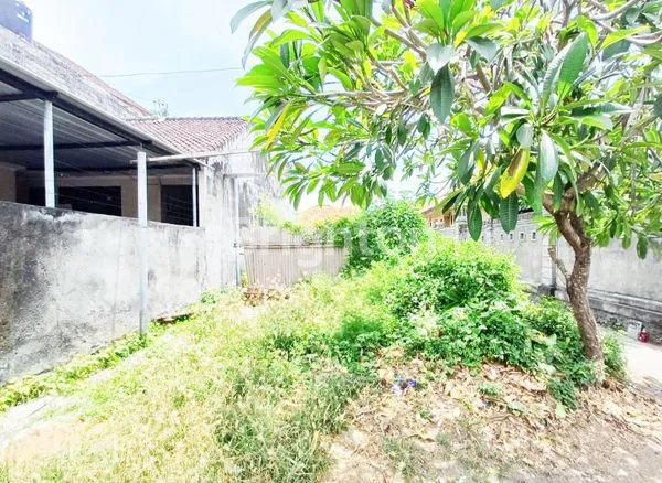 image JARANG ADA TANAH PLOT KECIL STRATEGIS DEKAT JL. IDA BAGUS MANTRA, KESIMAN, DENPASAR\N (1)