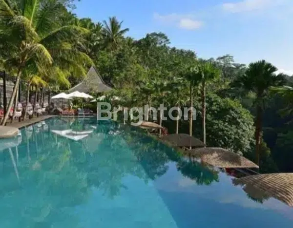 image FOR SALE  HOTEL IN UBUD \UD83C\UDF39\UD83D\UDC9A (1)