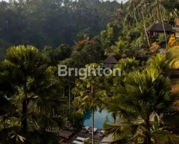 image FOR SALE  HOTEL IN UBUD \UD83C\UDF39\UD83D\UDC9A (4)