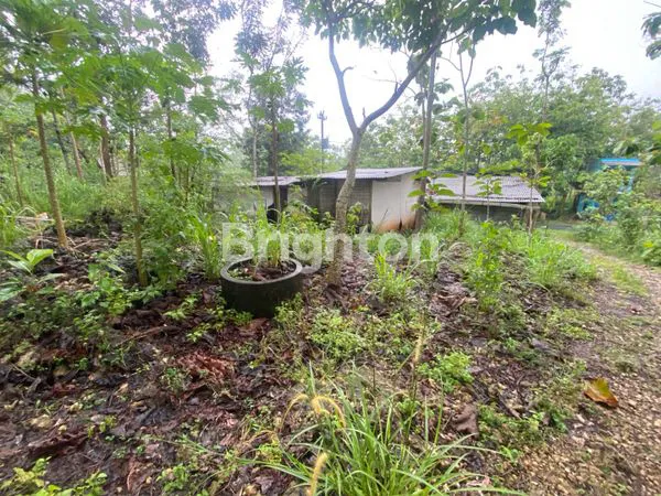 image DIKONTRAKAN TANJUNGSARI (2)