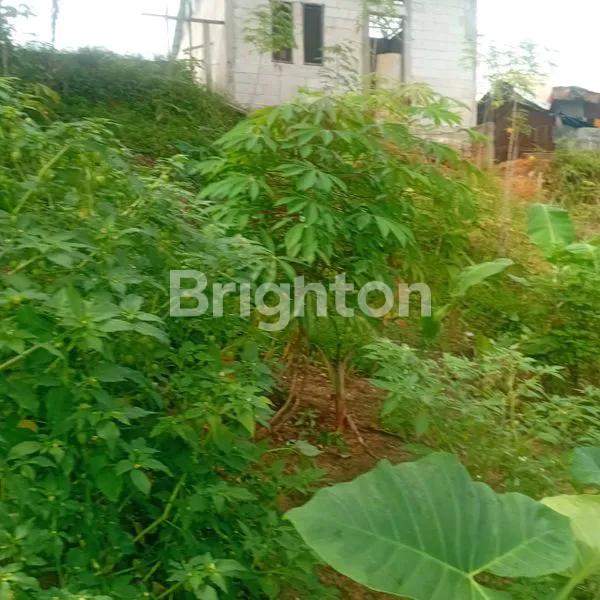 image TANAH DATAR SIAP BANGUN (2)