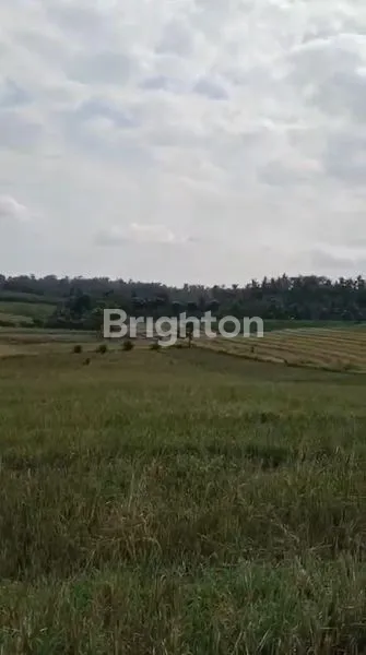 image TANAH DI JUAL  STRATEGIS  (2)