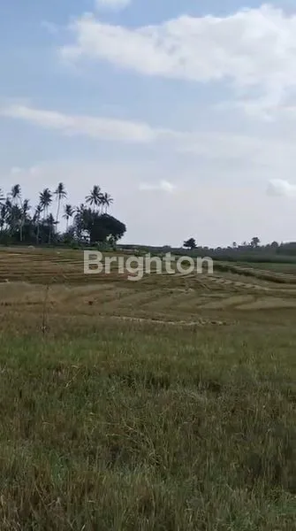 image TANAH DI JUAL  STRATEGIS  (3)