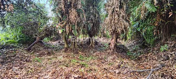 image TANAH SIAP BANGUN DAERAH MAKROMAN (1)