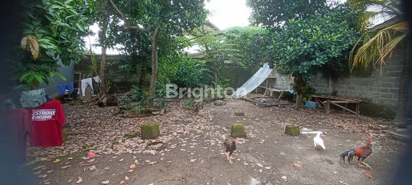 image TANAH SLEMAN (4)