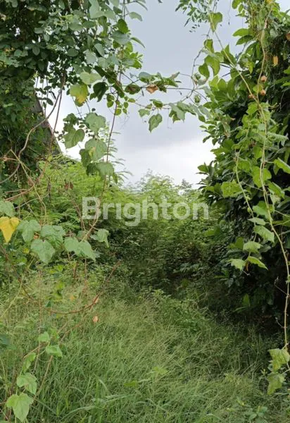 image TANAH STRATEGIS HADAP TIMUR – COCOK UNTUK USAHA ATAU INVESTASI (2)