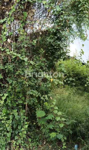 image TANAH STRATEGIS HADAP TIMUR – COCOK UNTUK USAHA ATAU INVESTASI (1)