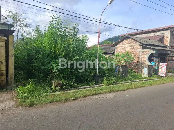 image TANAH SELUAS 3.270 M² DI DEKAT KOTA TRENGGALEK  (2)