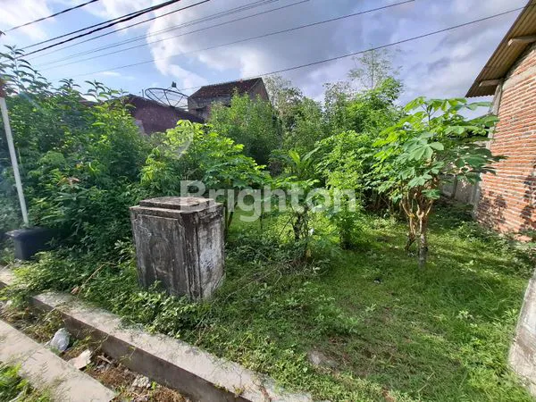 image TANAH SELUAS 3.270 M² DI DEKAT KOTA TRENGGALEK  (3)