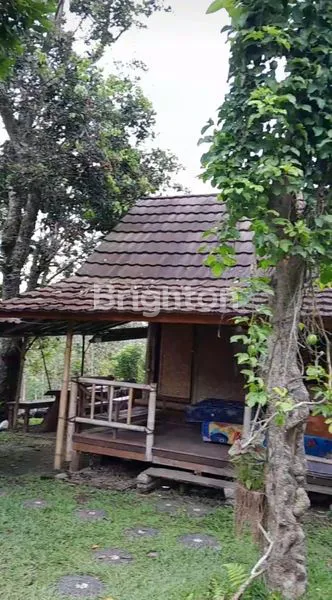 image INVESTASI TANAH 27 ARE DI KERIDAN TABANAN – BONUS GLAMPING SIAP SEWA, VIEW ALAM MENAKJUBKAN! (6)
