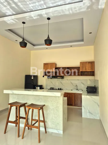 image FOR RENT BRAND NEW 2 BEDROOM VILLA IN UBUD (205V) (7)