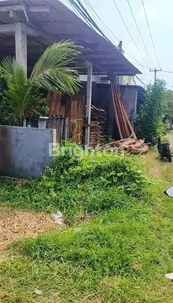 image  TANAH PINGGIR JALAN RAYA DEKAT KAMPUS TRIATMULY JEMBRANA (1)