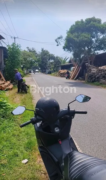 image  TANAH PINGGIR JALAN RAYA DEKAT KAMPUS TRIATMULY JEMBRANA (3)