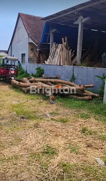 image  TANAH PINGGIR JALAN RAYA DEKAT KAMPUS TRIATMULY JEMBRANA (4)