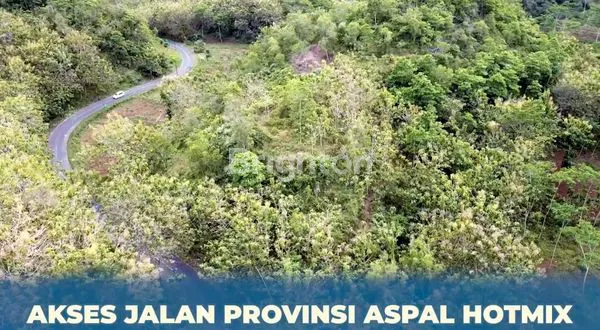 image INVESTASI TANAH GUNUNG KIDUL (4)