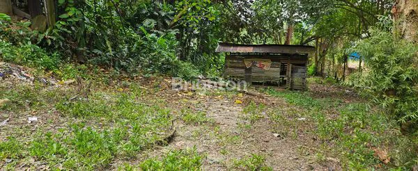 image TANAH DIJUAL DITENGAH KOTA (3)