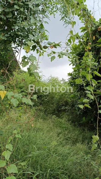 image DISEWAKAN – TANAH 24 ARE DI LOKASI PREMIUM BY PASS (1)