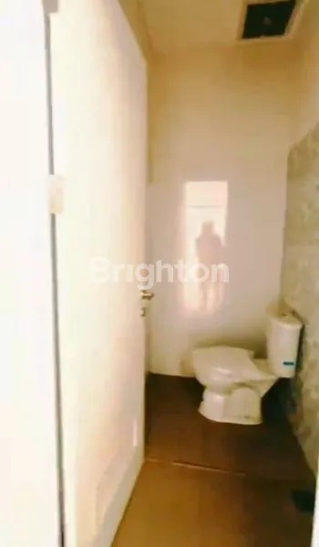 image DIJUAL GARDENIA (5)