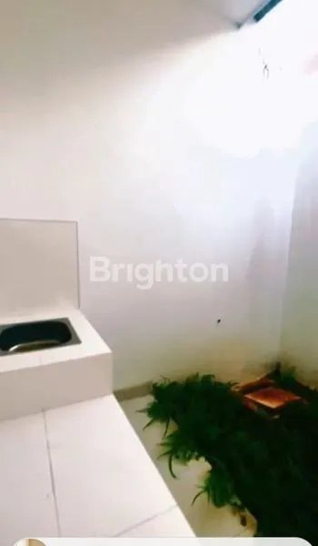 image DIJUAL GARDENIA (6)