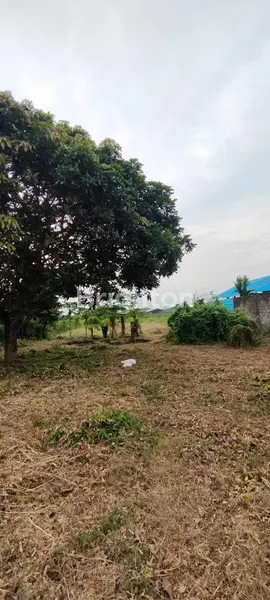 TANAH DIJUAL DI SADING – LOKASI STRATEGIS DI PINGGIR JALAN UTAMA