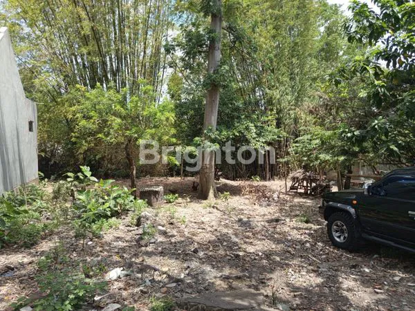 image TANAH LUAS UNTUK KOST2AN LOKASI STRATEGIS DEKAT JL KALIURANG KM7 (4)