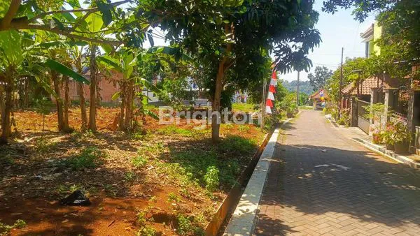 image TANAH INVESTASI DI KALISEGORO GUNUNGPATI, SEMARANG (4)