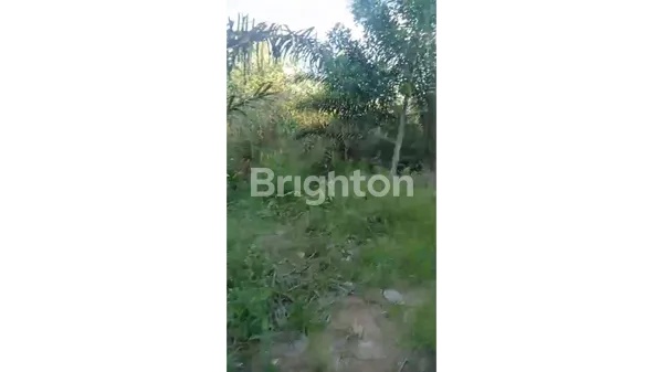 DI JUAL TANAH 1 HA DI JALAN RIAU BARU