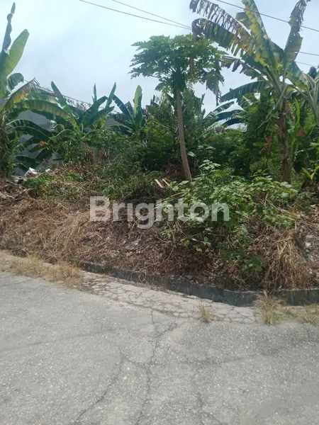 image DI JUAL TANAH DI LOKASI PERUMAHAN DI JALAN SIDODADI-KARTAMA, MARPOYAN DAMAI (4)