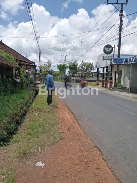 image TANAH LUAS DI BADUNG COCOK UNTUK GUDANG DEKAT JALAN UTAMA DENPASAR (5)