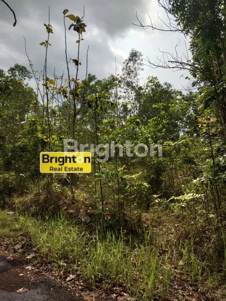 image TANAH TERMURAH DI YOGYAKARTA (7)