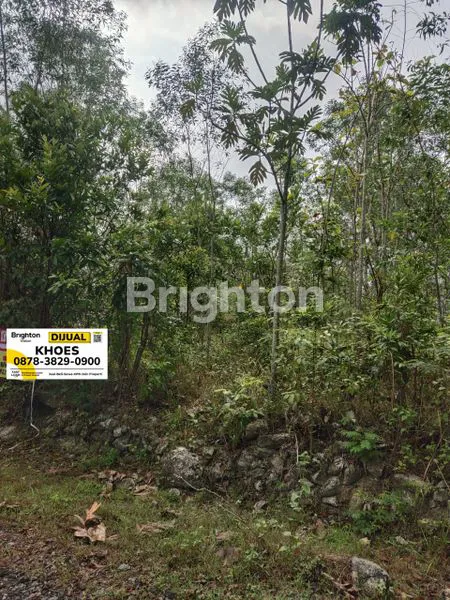 image TANAH TERMURAH DI YOGYAKARTA (3)