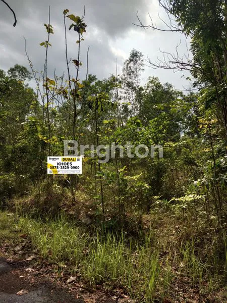 image TANAH TERMURAH DI YOGYAKARTA (8)