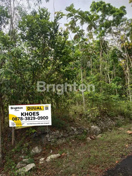 image TANAH TERMURAH DI YOGYAKARTA (4)