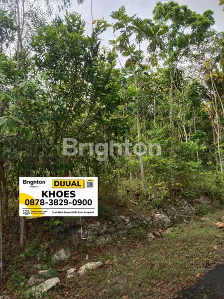 image TANAH TERMURAH DI YOGYAKARTA (5)