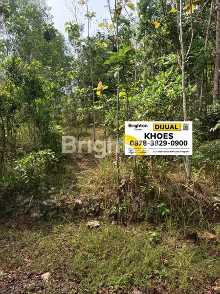 image TANAH TERMURAH DI YOGYAKARTA (6)