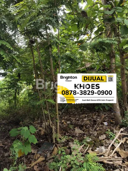 image TANAH MURAH DEKAT DESA WISATA YOGYAKARTA (1)