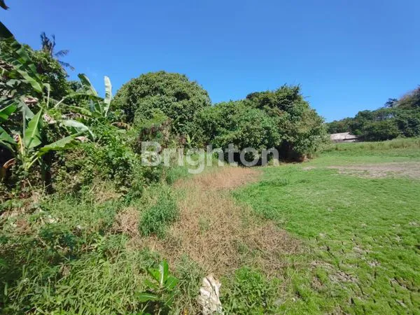 image TANAH STRATEGIS 4415M², COCOK UNTUK VILLA/RESTORAN DI TABANAN (8)