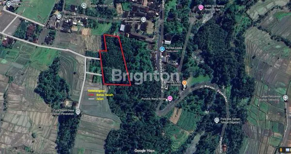 TANAH LUAS DAN ASRI DI TABANAN