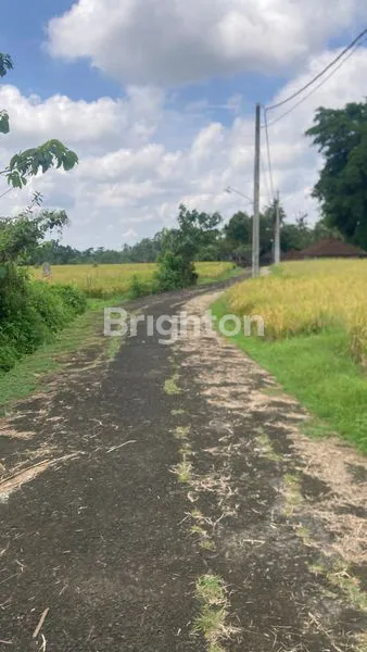 image TANAH INVESTASI DI TABANAN (6)